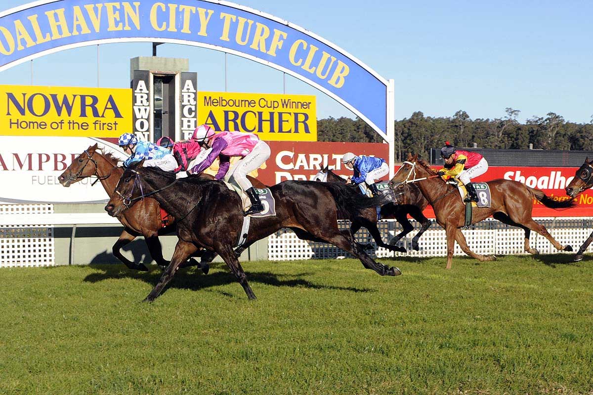 Shoalhaven City Turf Club Racing NSW Country