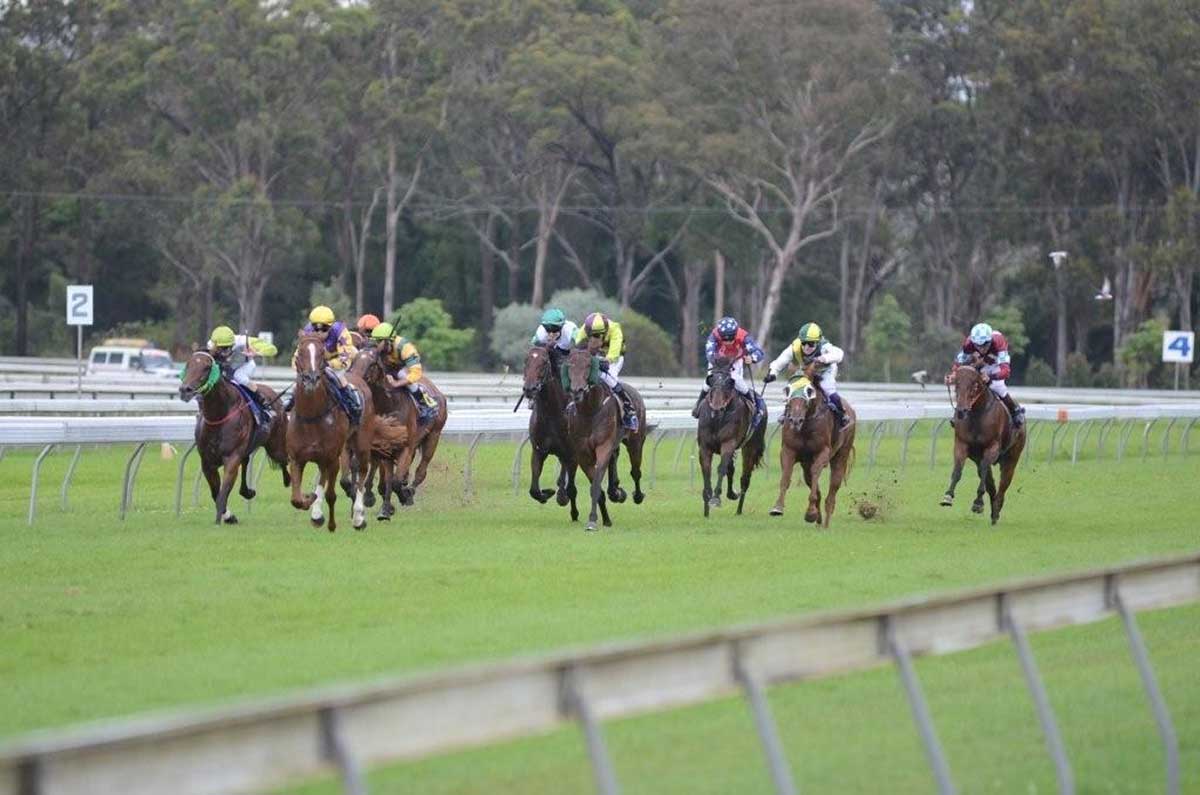 TareeWingham Race Club Racing NSW Country