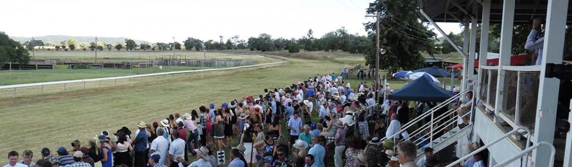 bingara_raceday-2011-feb-13